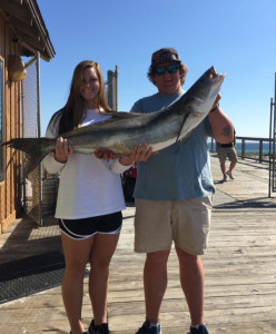 cobia