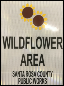 "Wildflower Area"